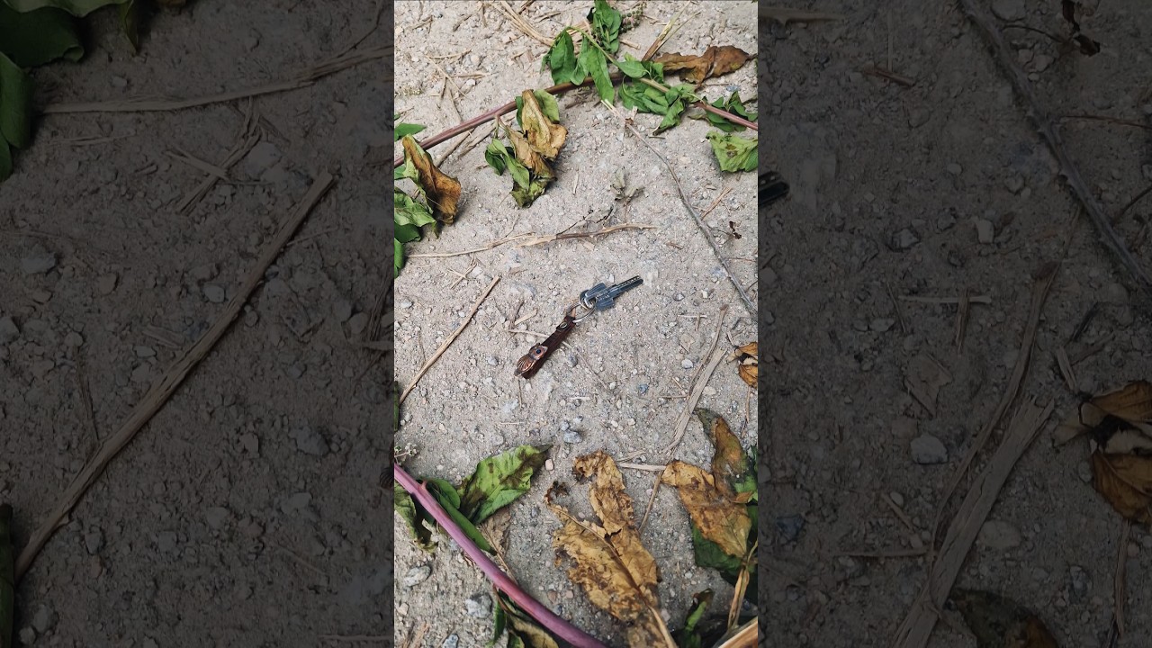 I found a lost key... Would this work?