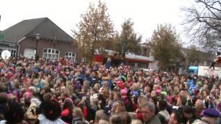 preview picture of video 'Intocht Sinterklaas in Heino - deel 2'