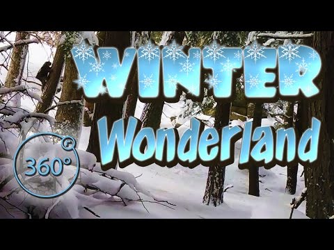 Extreme Relaxation - Winter Wonderland VR 360