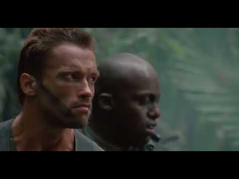 Predator contact scene