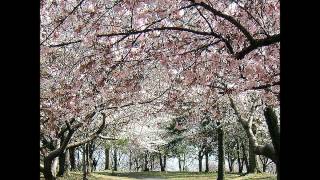 Love Changes Everything - A Cappella