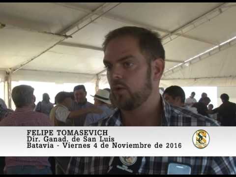 04-11-16 Nota Felipe Tomasevich - Cabaña La Paz - Batavia ( Est. Gloria a Dios )