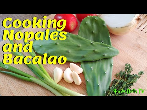 Stewed TUNA Cactus And Saltfish For Breakfast LIVE (NOPALES & BACALAO)