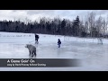 A Game Goin' On Video Montage / Dave Gunning David Francey