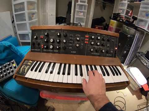 Minimoog Model D VS Moog Minitaur