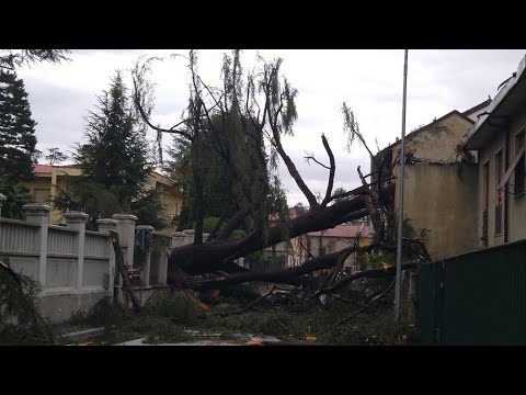 Violento downburst a Parabiago‼️Raffiche fino a 118 km/h  a Nerviano (Milano) 💨