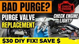 Purge Valve How to Test and Replace