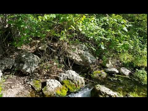 This is where the original stream comes out of the rock.