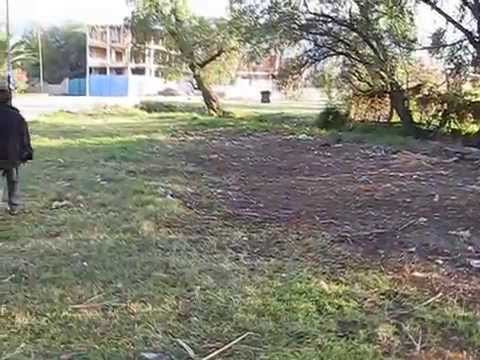 Early morning walk with 'Big Dog' and 'Fart" in Vinto, Bolivia