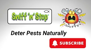 Sniff'n'Stop Pest Deterrent Bug Demonstration