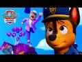 Search And Rescue Where Are Humdinger S Kitties PAW Patrol Compilation