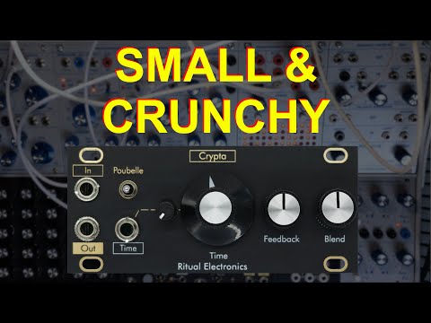 A 1U Delay with character - Crypta by Ritual Electronics - Demo