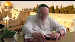 מקום הדשן חוץ לעיר - אנגלית