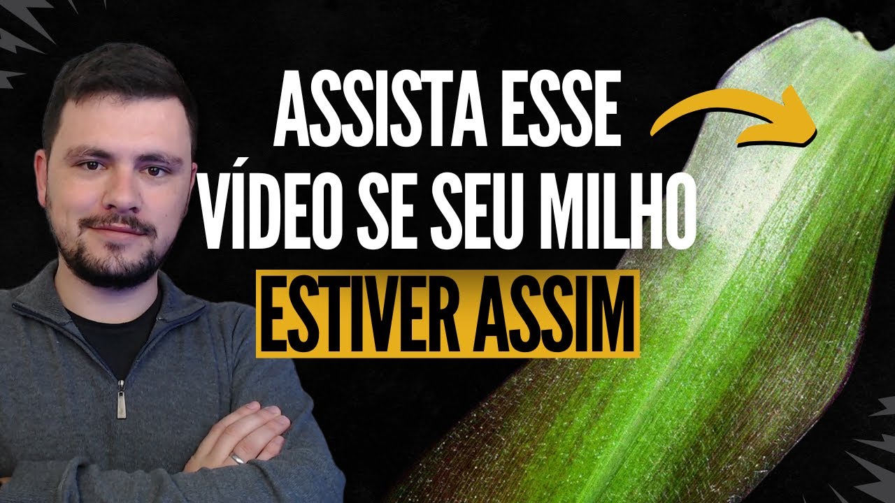 Vantagem de usar o FOSFATO NATURAL no seu sistema produtivo