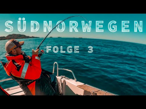 Angeln in Norwegen. Meeresangeln auf Pollack, Dorsch & Leng | Vlog 3