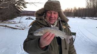Зимняя рыбалка в хабаровском крае на горной реке