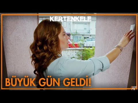 ZEHRA ZİYA "YA KAVUŞABİLECEKMİ?...KERTENKELE 36.BÖLÜM 🦎