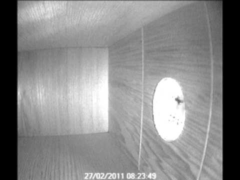 27-02-2011 look in.wmv