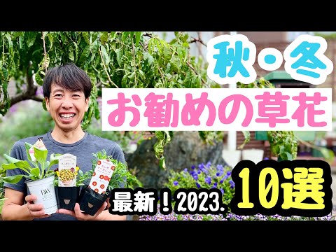 秋に植える花は何ですか？ 9月と10月には球根、多年草、一年生植物がおすすめです。  庭園