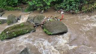 Peace For the Troubled Heart  Chapter 10 Part 1