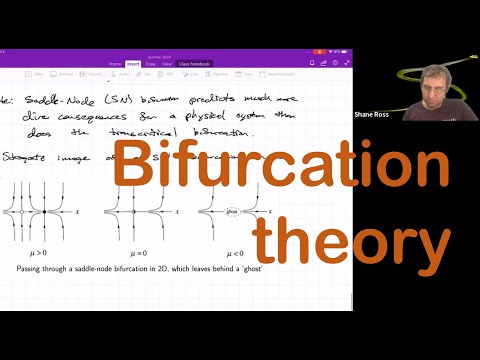 Bifurcation Theory: Saddle-Node, Hopf, Transcritical, Pitchfork  | Lecture 10 Center Manifold Course