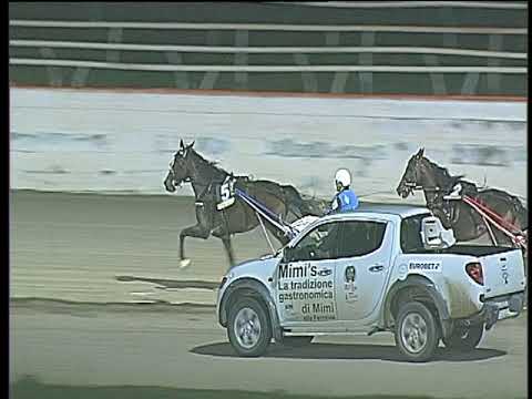 Trotto 22/10/2017 - 8ª corsa