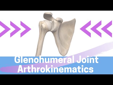 Shoulder Kinesiology: Glenohumeral Joint Movement