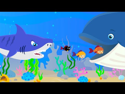 Die Unterwasserabenteuer von Tatty und Misifu🌊 Vor dem Hai davonlaufen! Volledige aflevering in HD