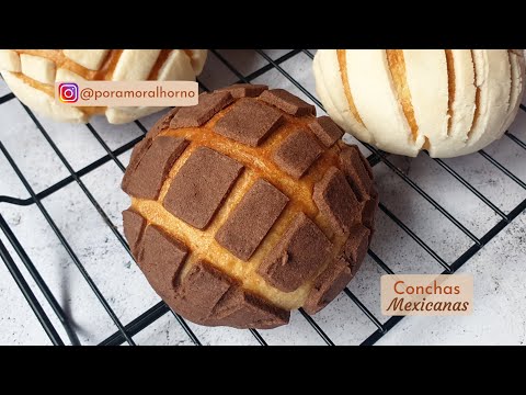 Pan dulce - receta de conchas mexicanas