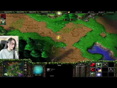 魔兽争霸3 ReMinD vs Foggy第一视角，熊王拼熊世界级水平，Warcraft 3 ReMinD VS Foggy best elf druid player