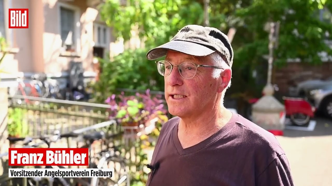 Fischsterben in Freiburg: Notstand im Gewerbekanal – Sauerstoff wird zur Mangelware!