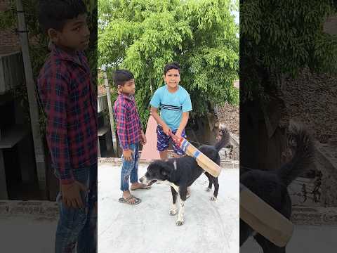 mamma kya kar rahi ho tarbuj Kat Rahe 🍉🍉#fu..@Gautamfunnyxyz64249