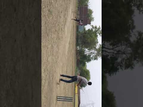 Training my street dog to catch the tennis ball