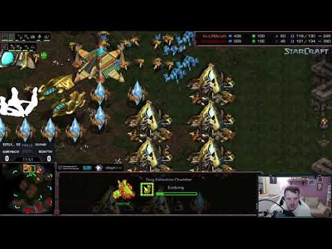 ¡Menudas partidazas! g0rynich vs Bonyth BSL8 Gran Final