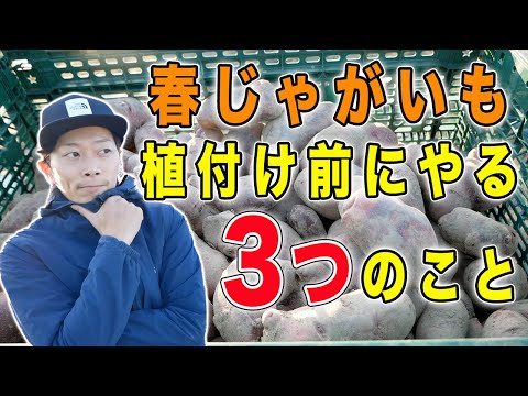 ジャガイモの栽培: 最もよくある 3 つの間違い 庭の練習