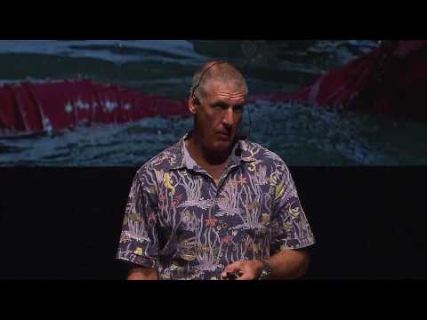 Why we need to start a reef revolution | Dr Adam Smith | TEDxTownsville