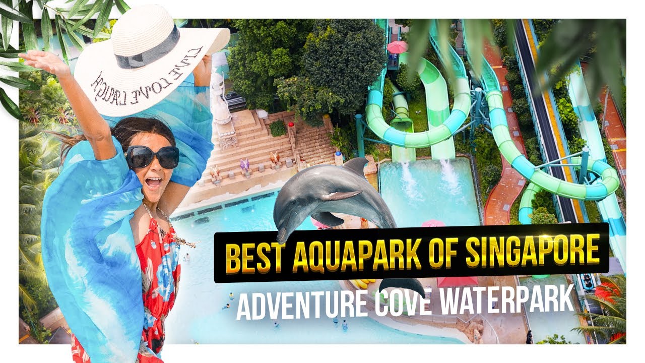 Your virtual ticket to Adventure Cove Waterpark: an immersive tour of watery fun!