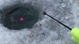 Икшинское водохранилище отчеты о рыбалке 2020