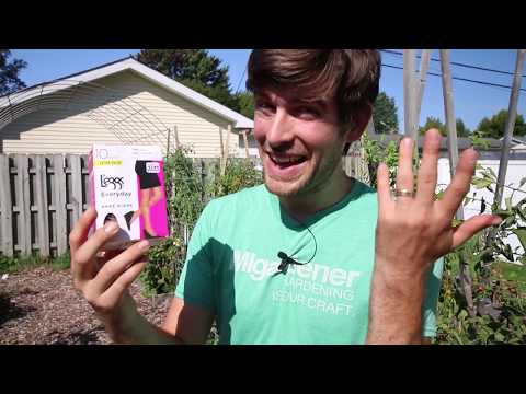 YouTube video about: Will rabbits eat watermelon plants?