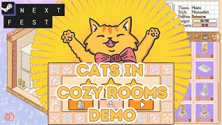 Cats in Cozy Rooms