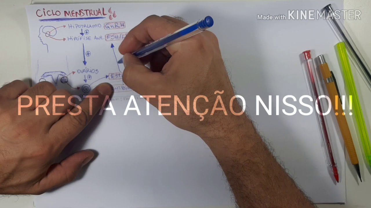 CICLO MESNTRUAL FÁCIL!!!