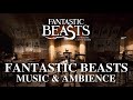 Fantastic Beasts Music & Ambience - Relaxing Music with Sounds