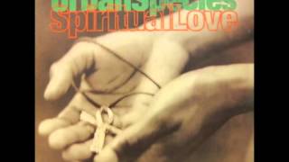 Video thumbnail of "Urban Species - SpiritualLove(C.J.Mackintosh Full Length Remix)"