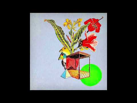 Fred Thomas - Critical Violets, Dream Erosion Pt. VII (Full Album)