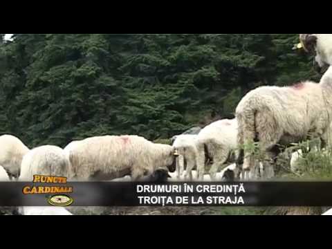 Puncte cardinale -  Troita de la Straja