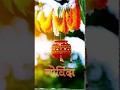 DAHI HANDI STATUS 2019 GO GO GOVINDA