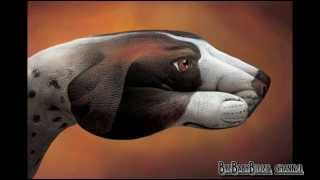 Elisa - Sleeping in Your Hand