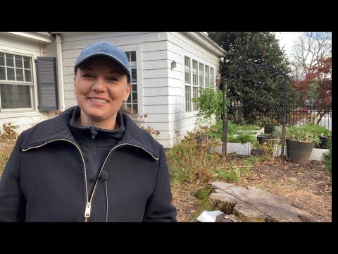 🪵 Stump Removal - What to do with a Stump 🪵