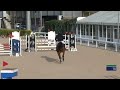 Quintus Mina Z 8 Ys Old Quintender X Lancado Csi Toscana Tour