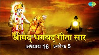 भगवद गीता सार अध्याय 16 श्लोक 5 with lyrics | Bhagvad Geeta Chapter 16 shlok 5 | Shailendra Bharti